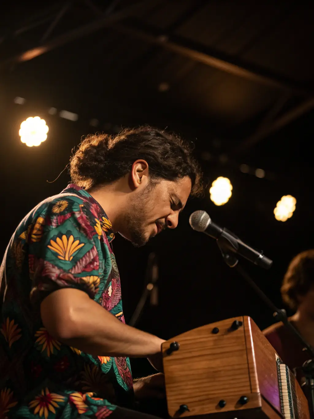 A solo musician playing a traditional French accordion on a dimly lit stage during the TOUT SEUL DEVANT TOUT LE MONDE festival, showcasing the musical arts.